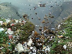 Water pollution due to domestic garbage at RK Beach
