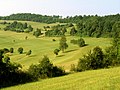 Streuobstwiese mit Weideland bei Böckweiler