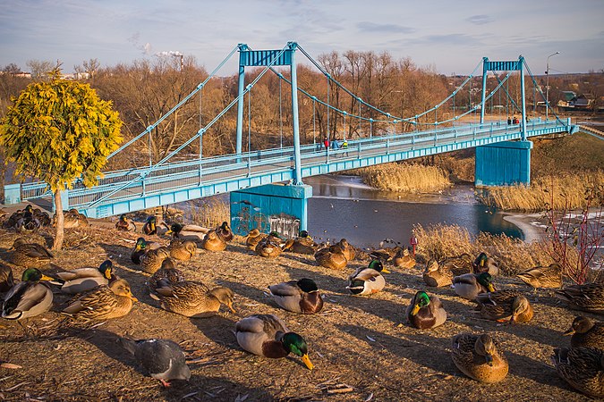 俄罗斯坦波夫州首府坦波夫的茨納河上的捷济科夫桥。