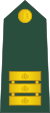 13-словенская армия-1LT.svg
