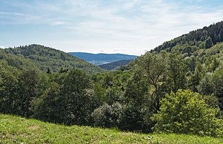 Blick vom Fort Wilhelm