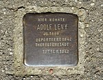 Stolperstein für Adolf Levy (Tivolistraße 17)