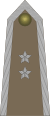 Army-POL-OR-09b.svg