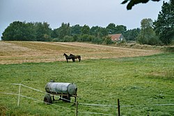 Skyline of Bebensee