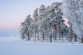 Могильник Бракелунд взимку, Лідчепінг, Швеція