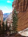 Bryce Canyon