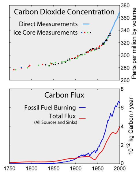 Carbon History and Flux