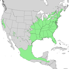 Mapa přirozeného výskytu