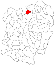 Location in Caraș-Severin County