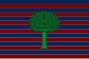 Bandeira oficial de Floresta