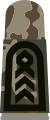Aufschiebeschlaufen mit schwarzen Em­blemen auf 3-Far­ben-Flecktarn für Heeresuniformträger (hier: Oberstabs­feldwebel Heeres­fliegertruppe)