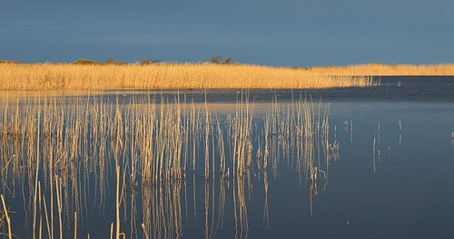 Hommikune Inahamne järv