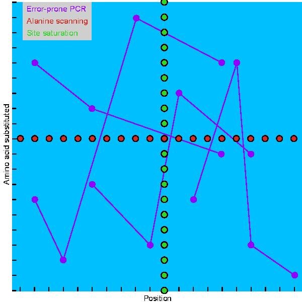 File:How random DNA libraries sample sequence space.pdf