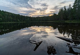 Något tidigare samma augustikväll.