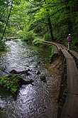 Photo couleur d'un cours d'eau, avec, à droite, un randonneur de dos, portant une casquette blanche et un sac à dos rouge, et marchant sur un sentier formé de planches en bois. Une forêt verdoyante en arrière-plan.