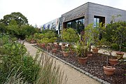 Planten in containers voor het Atelier des Eaux Botaniques