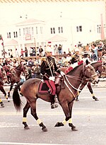 Miniatura para Gran Parada Militar del Perú