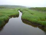 霧多布湿原