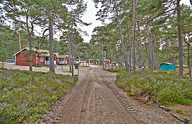 Chalets en bois rouge à gauche et tente à droite, le tout dans une forêt de pin.