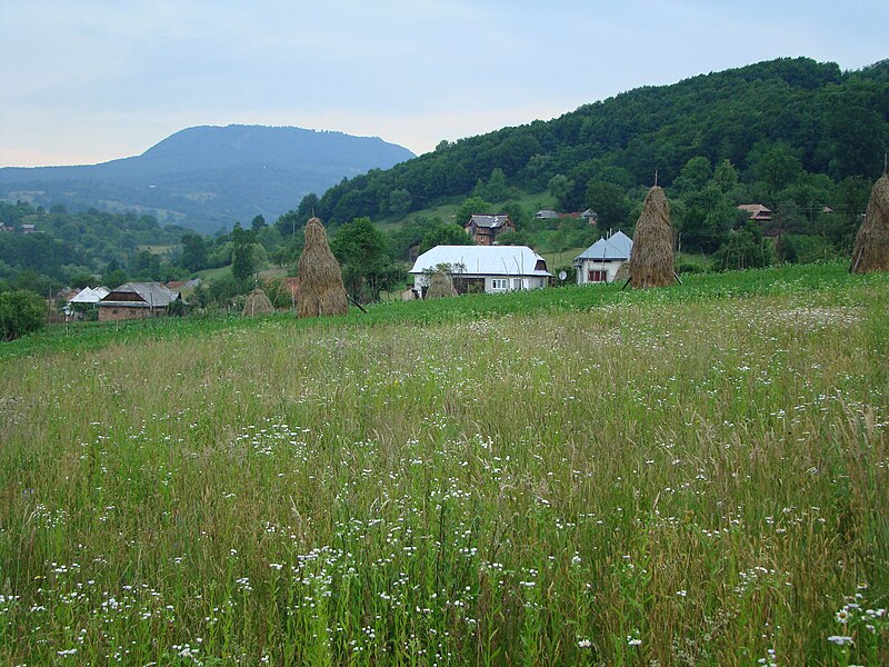 Fájl:Lanscape stoiceni.JPG