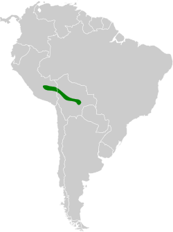 Distribución geográfica del orejero ventriblanco.