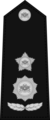 Lt Colonel Insignia.png