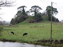 The Moat in Callan