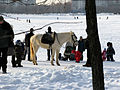 Sličica za različico z datumom 18:11, 31. januar 2010