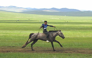 Naadam rider 1
