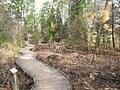 Miniatura para Jardín botánico de Carolina del Norte