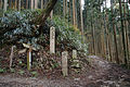 A signpost in Oku-Senbon, Yoshinoyama (Omine Okugando continues from the front to the left, and the right is a branch toward Hyakukaidake)