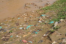 Human feces and plastic bags containing waste along the bank of a river