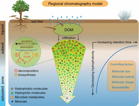 File:Origins and bioavailability of dissolved organic matter in groundwater.webp