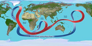 Thermohaline circulation, the ocean conveyor belt Overturning circulation of the global ocean.jpg