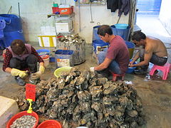 Oyster shucking at Lau Fau Shan, Hong Kong