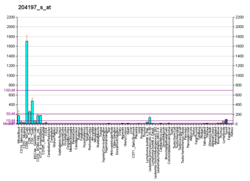 PBB GE RUNX3 204197 s в формате fs.png