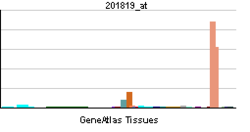 PBB GE SCARB1 201819 ĉe tn.png