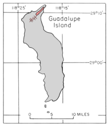 Pinus radiata binata range map.png