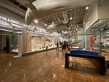 The second floor of the museum contains collections and samples of various animals past and present. ROM The Life in Crisis 2022.jpg