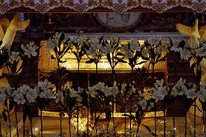 Սուրբ Պօղայի մասունքները, Սանթա Մարիա՝ Փօրթօ - Ռաւէննա, հիւսիսային Իտալիա 2016