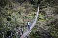 Robert's Point Track, Franz Josef, New Zealand