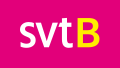 Logo de SVT B de 2008 à 2012