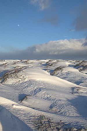 English: Snow drift, Castehill wood