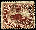 Image 42One of the national symbols of Canada, the beaver is depicted on the Canadian five-cent piece and was on the first Canadian postage stamp, c. 1859. (from Culture of Canada)