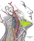 Miniatura para Espacio submandibular