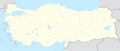 Bursa