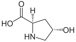 (2R,4S)-4-Hydroxyproline