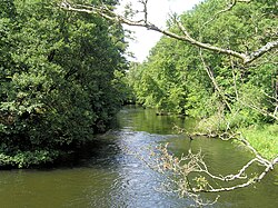 River in Świt
