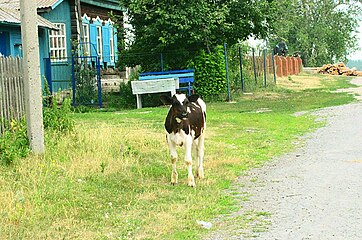 Село Волковское