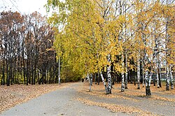 Бывшая защитная лесополоса на улице Хусаина Мавлютова, превращённая в бульвар (октябрь 2018)